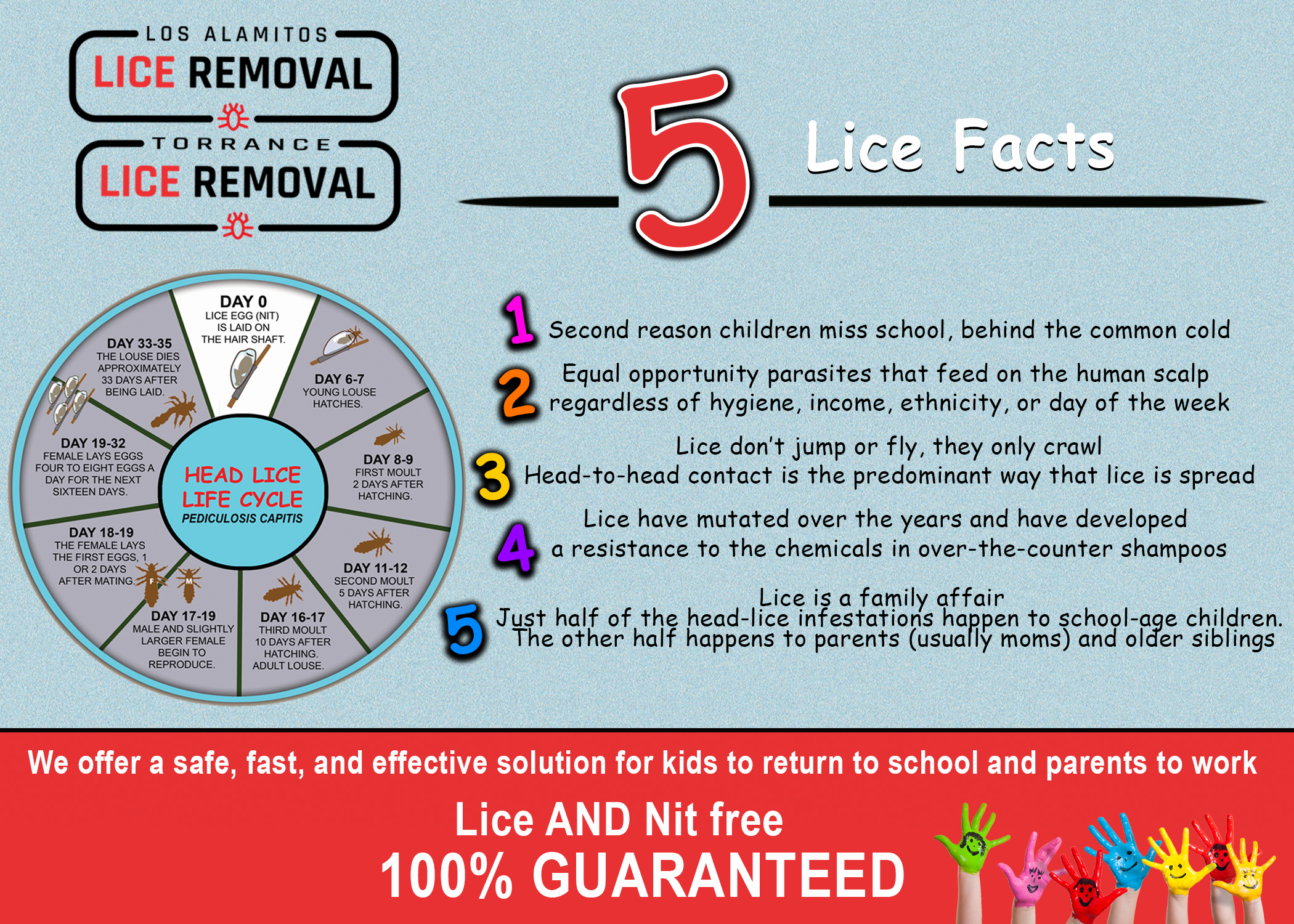 Head Lice Facts Get Educated And Learn How To Prevent Lice