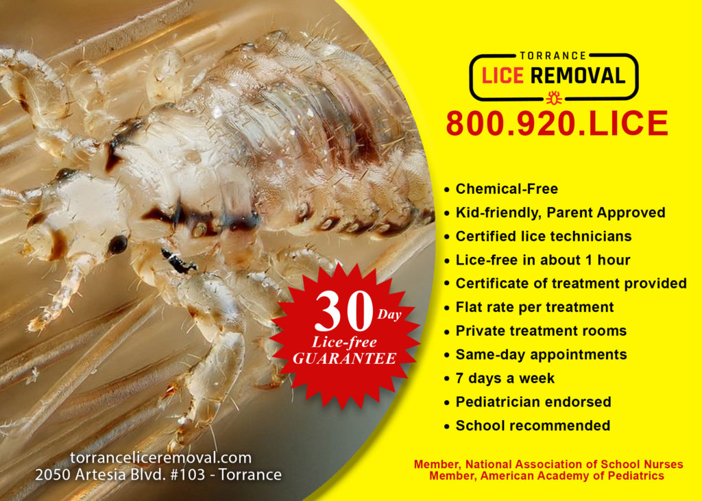 Torrance, CA Lice Removal & Treatment