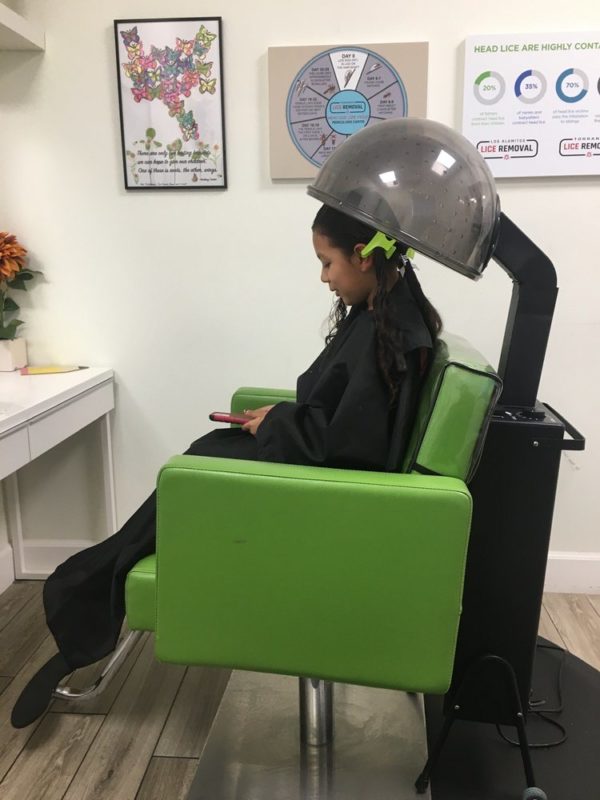 Pricing & Services Torrance Lice Removal