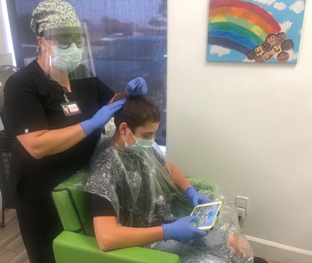 Pricing & Services Torrance Lice Removal